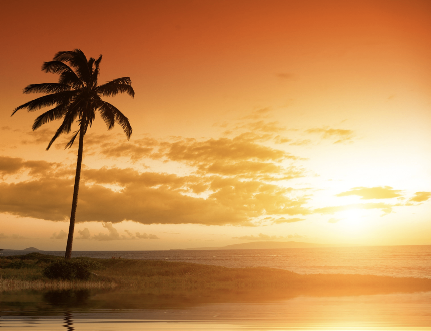 Sunset over a tropical shore